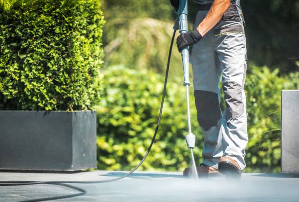 Best Dumpster Area Cleaning  in Hackensack, NJ