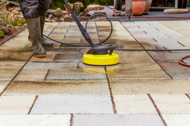 Best Animal Enclosure Cleaning  in Hackensack, NJ